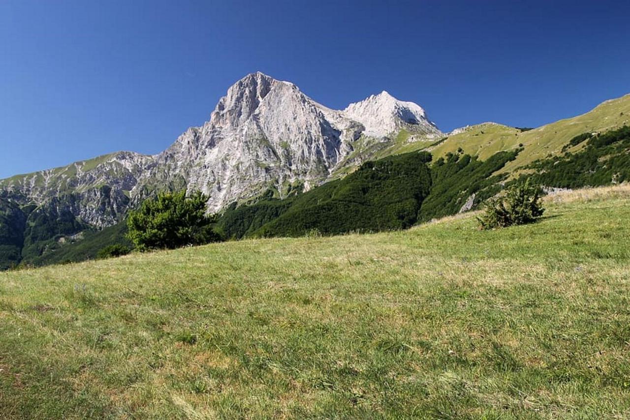 Complesso Turistico Aurora - Camere B&B Poggio Picenze Bagian luar foto